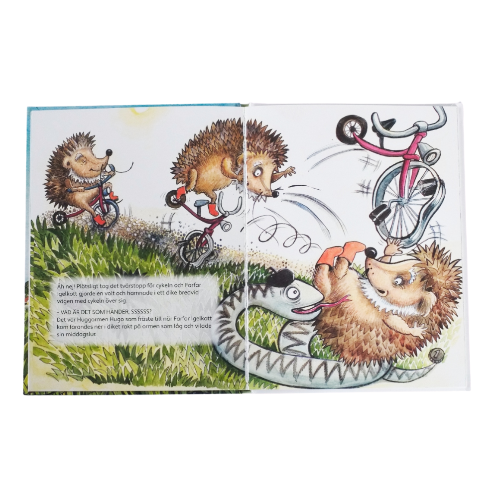 Farfar Igelkott Cyklar till Stan